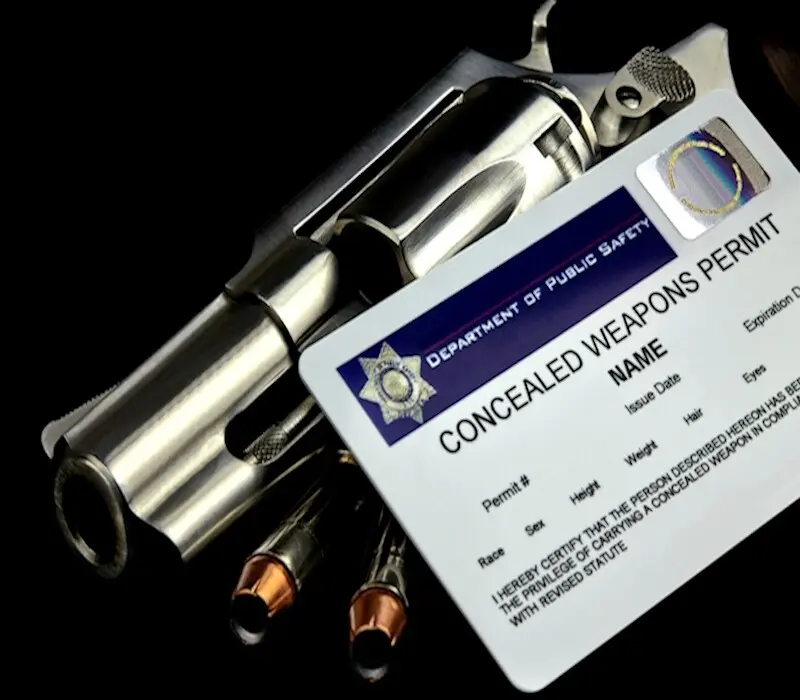 Florida constitutional carry vs concealed